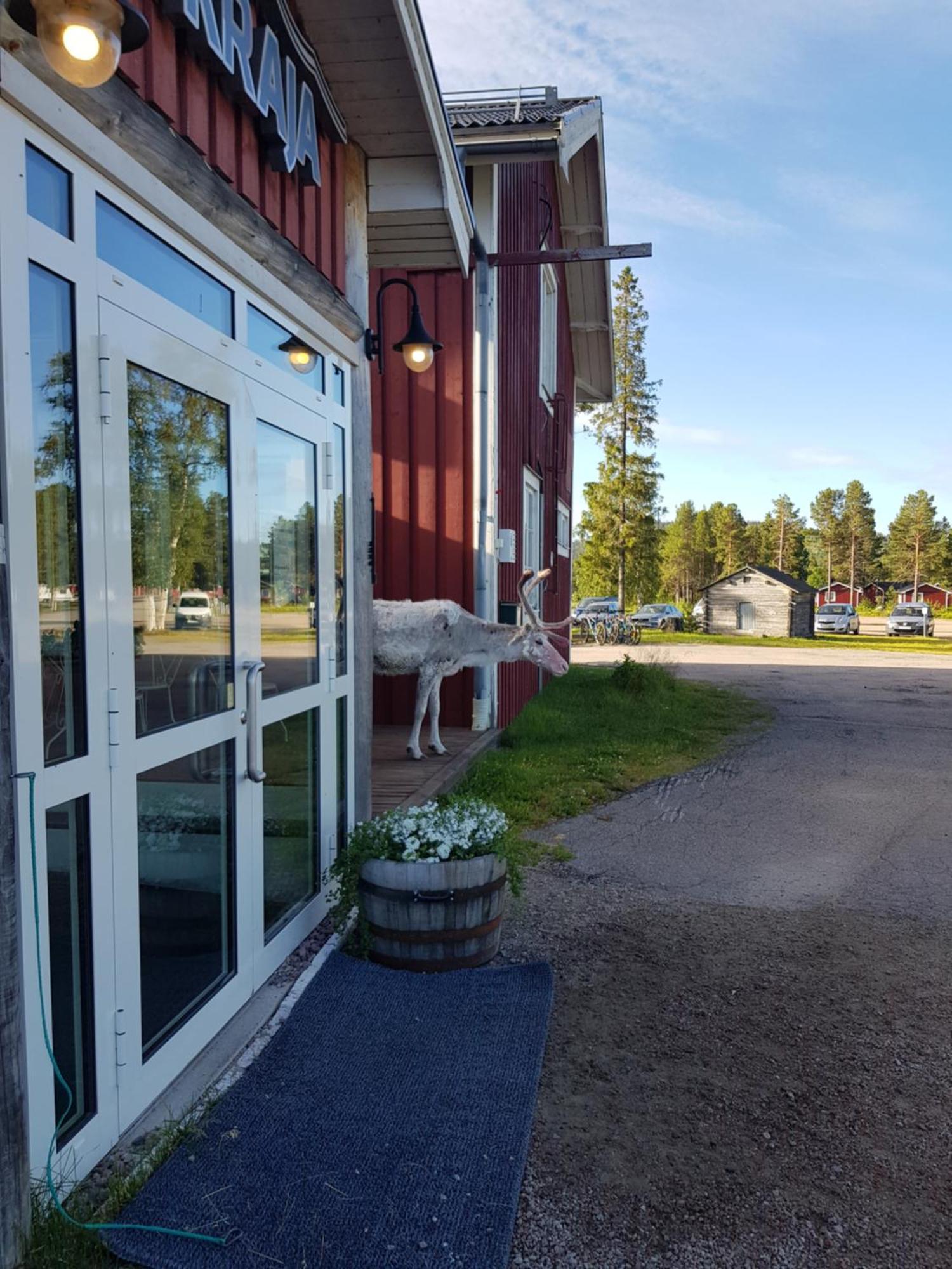 Kraja Hotel Arjeplog Kültér fotó