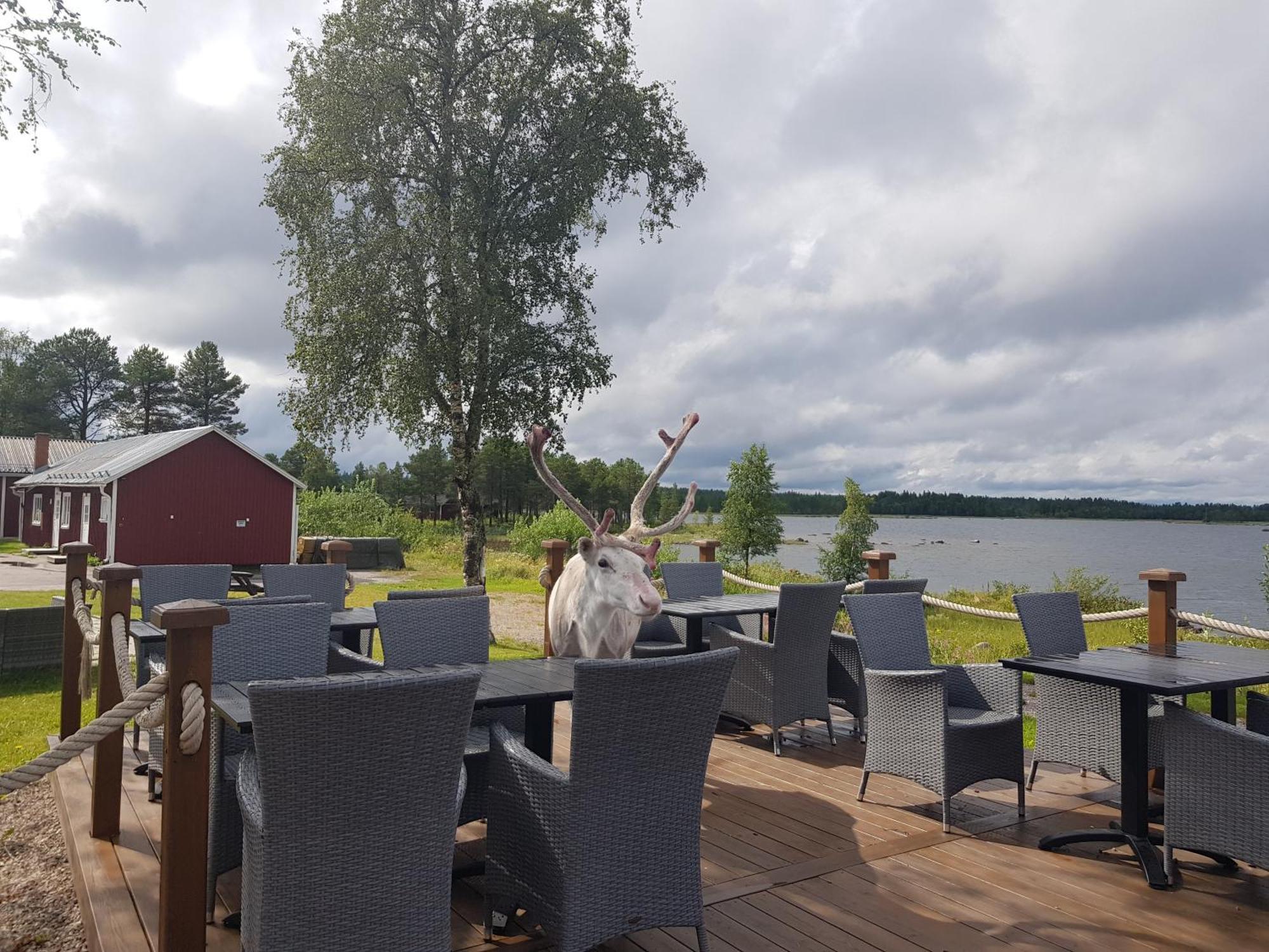 Kraja Hotel Arjeplog Kültér fotó